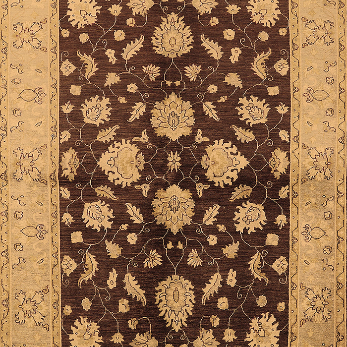Oriental Brown Traditional Rug, urb2855brn