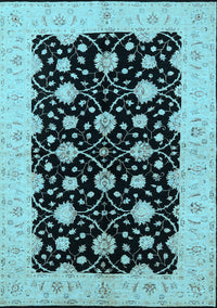 Oriental Light Blue Traditional Rug, urb2857lblu