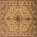 Square Machine Washable Oriental Brown Industrial Rug, wshurb2871brn