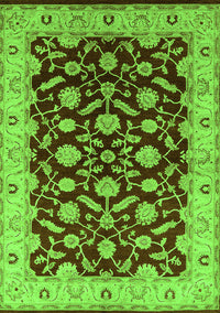 Oriental Green Traditional Rug, urb2879grn