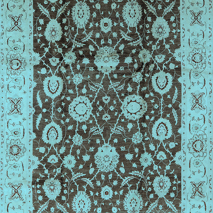Oriental Light Blue Traditional Rug, urb2891lblu