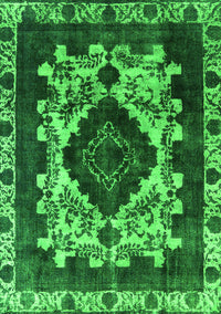 Oriental Green Industrial Rug, urb2902grn