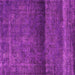 Square Machine Washable Persian Pink Bohemian Rug, wshurb2905pnk