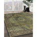 Machine Washable Industrial Modern Brass Green Rug in a Family Room, wshurb2908
