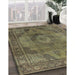 Mid-Century Modern Copper Green Oriental Rug in Family Room, urb2908