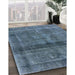 Machine Washable Industrial Modern Koi Blue Rug in a Family Room, wshurb2909