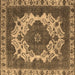 Square Machine Washable Oriental Brown Industrial Rug, wshurb2910brn