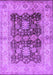 Oriental Purple Traditional Rug, urb2911pur