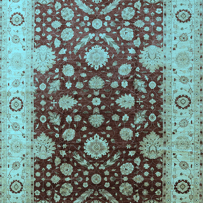 Oriental Light Blue Traditional Rug, urb2917lblu