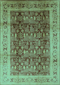 Oriental Turquoise Traditional Rug, urb2918turq