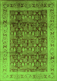 Oriental Green Traditional Rug, urb2918grn