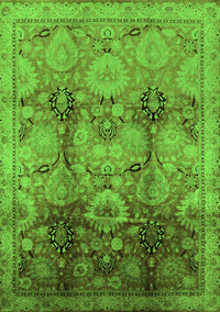 Oriental Green Traditional Rug, urb2924grn