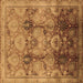 Square Machine Washable Oriental Brown Traditional Rug, wshurb2924brn