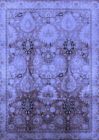 Oriental Blue Traditional Rug, urb2924blu