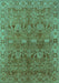 Oriental Turquoise Traditional Rug, urb2945turq