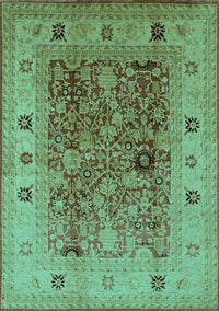Oriental Turquoise Traditional Rug, urb2947turq
