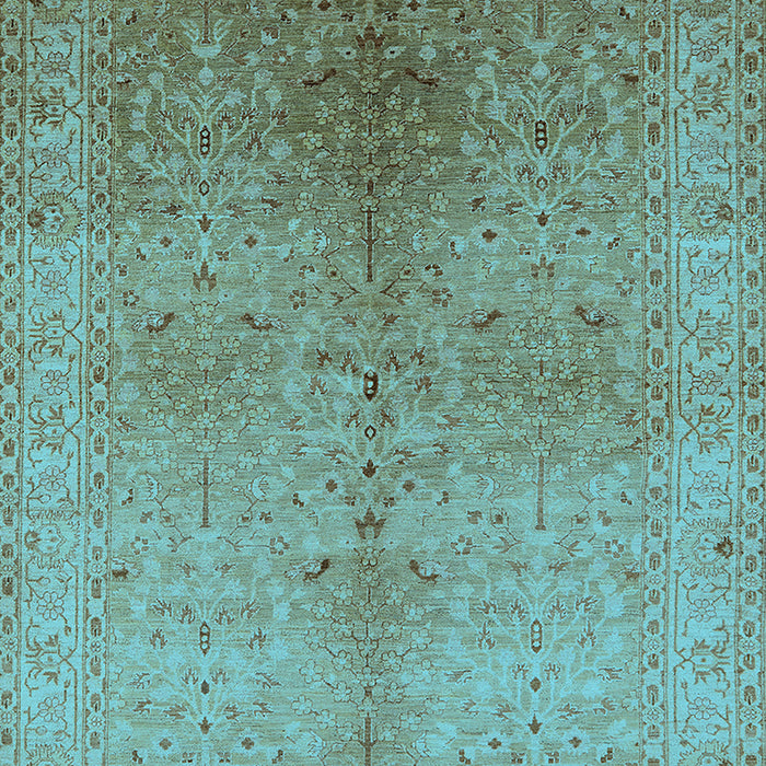 Oriental Light Blue Traditional Rug, urb2956lblu