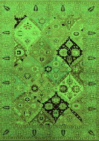 Oriental Green Industrial Rug, urb2961grn