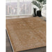 Machine Washable Industrial Modern Light Brown Rug in a Family Room, wshurb2972