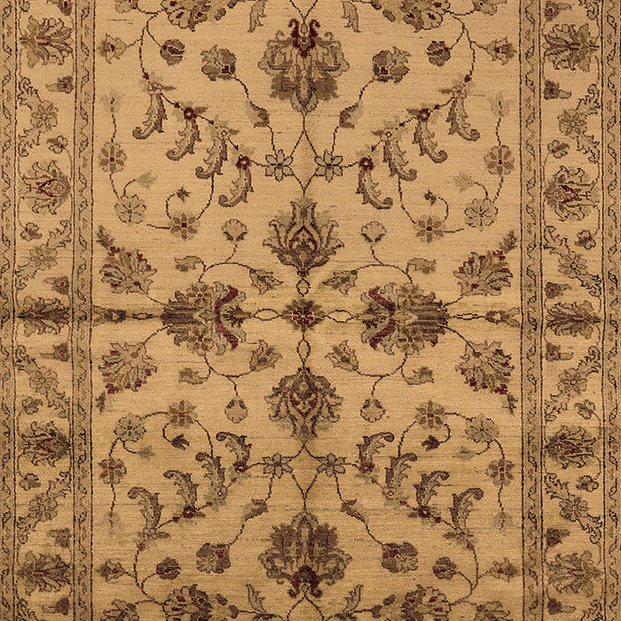 Oriental Brown Traditional Rug, urb2982brn