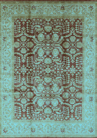 Oriental Light Blue Traditional Rug, urb2984lblu
