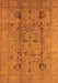 Oriental Orange Traditional Rug, urb2991org