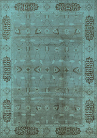 Oriental Light Blue Traditional Rug, urb2992lblu