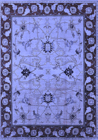 Oriental Blue Traditional Rug, urb2998blu