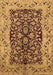 Oriental Brown Traditional Rug, urb3000brn