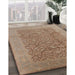 Machine Washable Industrial Modern Gold Brown Rug in a Family Room, wshurb3020