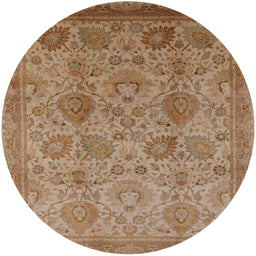 Round Mid-Century Modern Light Copper Gold Oriental Rug, urb3025