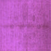 Square Oriental Purple Industrial Rug, urb3040pur