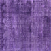 Square Machine Washable Oriental Purple Industrial Area Rugs, wshurb3066pur