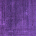 Square Machine Washable Oriental Purple Industrial Area Rugs, wshurb3067pur