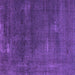 Square Oriental Purple Industrial Rug, urb3067pur