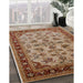 Mid-Century Modern Mahogany Brown Oriental Rug in Family Room, urb3080