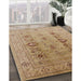 Machine Washable Industrial Modern Light Brown Rug in a Family Room, wshurb3116