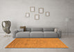 Machine Washable Oriental Orange Industrial Area Rugs in a Living Room, wshurb3117org