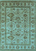 Oriental Light Blue Industrial Rug, urb3124lblu