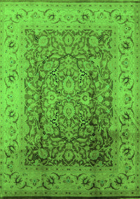 Oriental Green Industrial Rug, urb3156grn