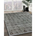 Machine Washable Industrial Modern Gray Rug in a Family Room, wshurb3194