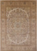 Mid-Century Modern Light Brown Oriental Rug, urb3201