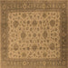 Square Machine Washable Oriental Brown Industrial Rug, wshurb3236brn