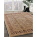Machine Washable Industrial Modern Light Brown Rug in a Family Room, wshurb3238
