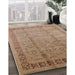 Mid-Century Modern Light Brown Oriental Rug in Family Room, urb3238