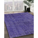 Machine Washable Industrial Modern Amethyst Purple Rug in a Family Room, wshurb3245