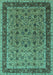 Oriental Turquoise Traditional Rug, urb450turq