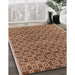 Machine Washable Industrial Modern Mahogany Brown Rug in a Family Room, wshurb459