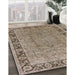 Machine Washable Industrial Modern Camel Brown Rug in a Family Room, wshurb461