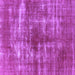 Square Machine Washable Persian Purple Bohemian Area Rugs, wshurb466pur